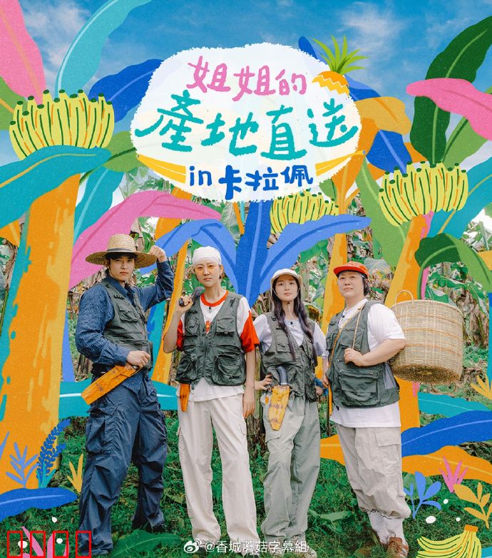 姐姐家的产地直送3：情迷果园