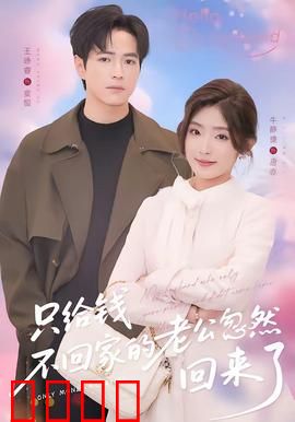 只给钱不回家的老公忽然回来了：情感危机