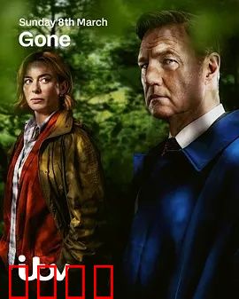 消失的妻子Gone：惊天反转揭秘