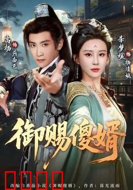 御赐傻婿：赘婿逆袭传奇