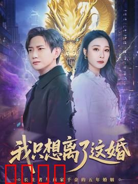 《离婚风暴：婚姻终局