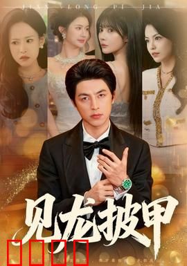 见龙披甲：乱世英雄护主情
