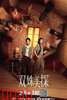 双姝美探：解开惊天谜局