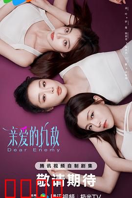 亲爱的仇敌：爱恨交织的商战