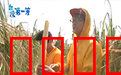 台湾第一等：宝岛风情录