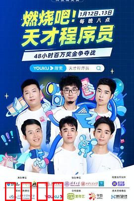 燃烧吧！天才程序员：逆袭代码人生
