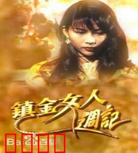镇金女人周记粤语：真实职场写照