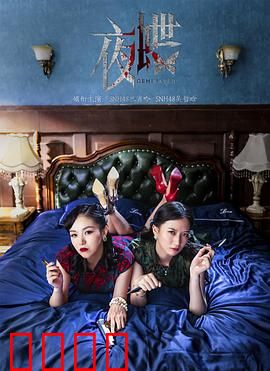 夜蝶：暗夜迷情