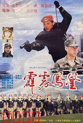 霹雳凤凰：失忆杀手