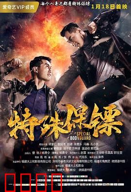 特殊保镖：兄弟情深护主