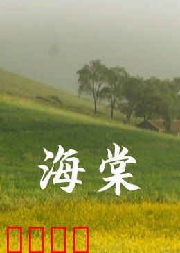海棠：血色浪漫