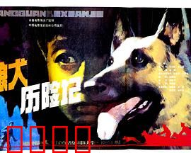 狼犬历险记：童年冒险情