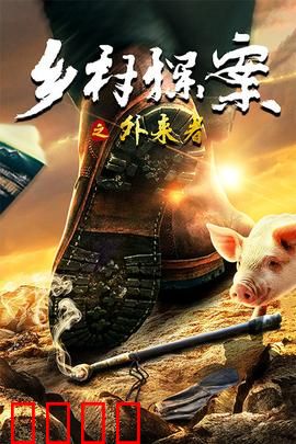 乡村探案之外来者：迷雾背后的真相