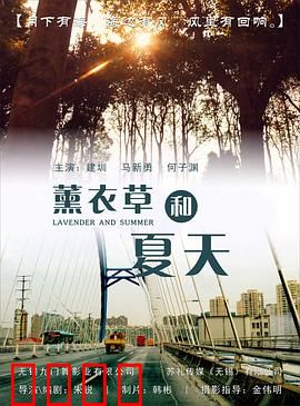 薰衣草和夏天：夏日的恋歌