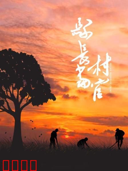 县长当村官：从官到民的初心