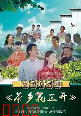 茶乡花正开：茶香里的青春绽放