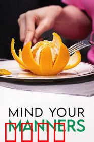 国际礼仪指南：跨文化社交宝典