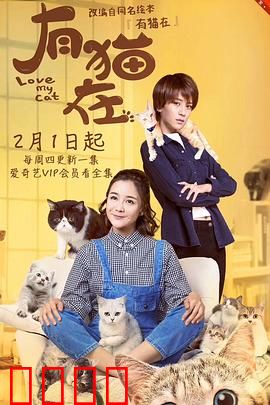 有猫在：猫咪治愈人生