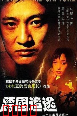 跨国追逃：正义虽迟但到
