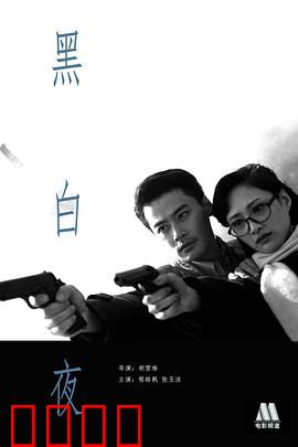 黑白夜：真相只在暗处